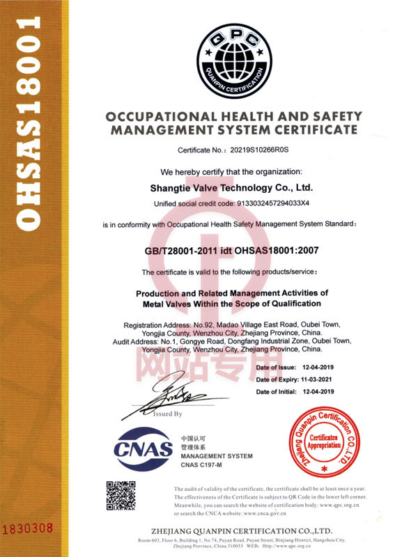 职业健康安全管理体系认证证书(英文版)